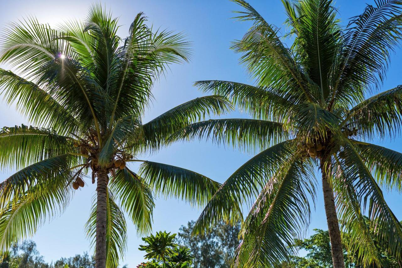 Warwick Le Lagon Resort & Spa, Vanuatu Port Vila Dış mekan fotoğraf